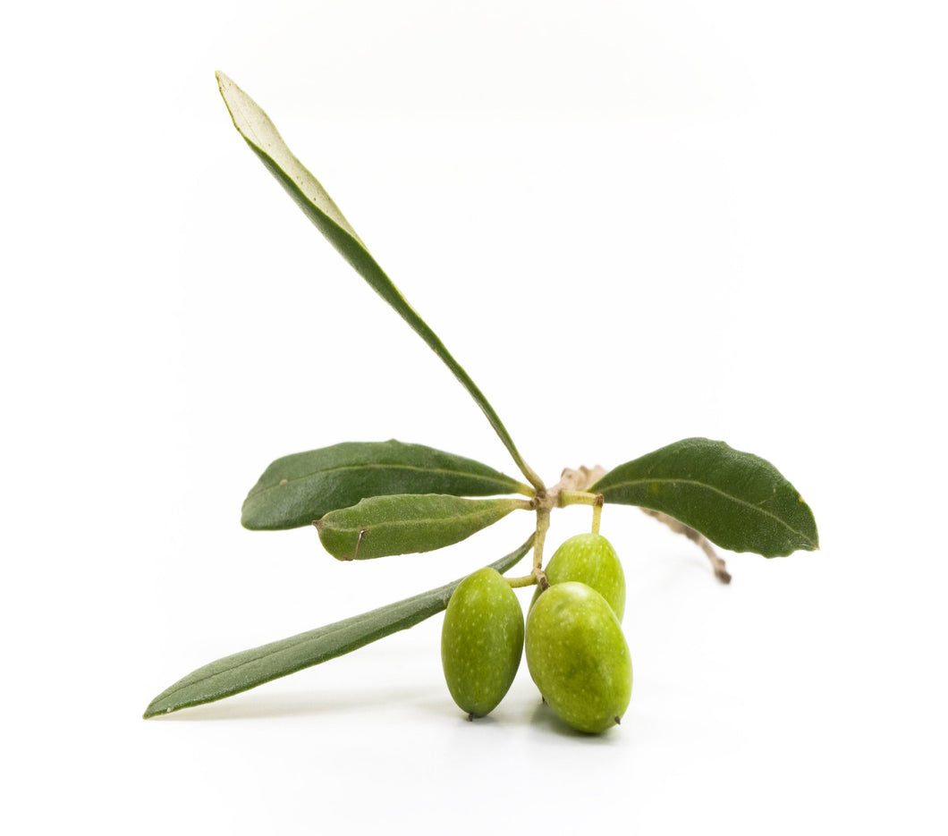 FRANTOIO EVOO (Italy)