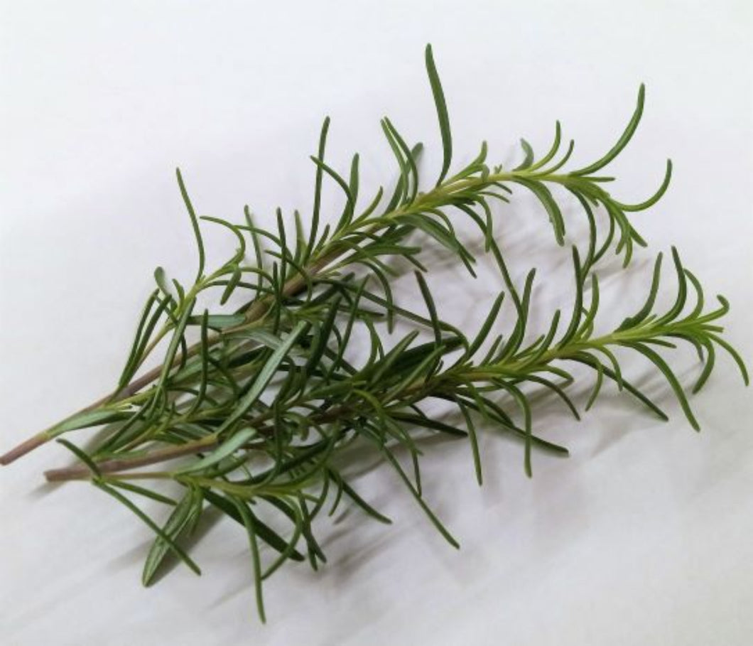 ROSEMARY Infused Olive Oil